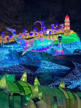 伊豆高原グランイルミに投稿された画像（2025/3/28）