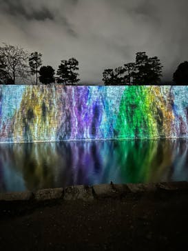 NAKED meets 二条城 2025 観月に投稿された画像（2025/3/28）