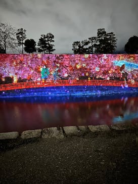 NAKED meets 二条城 2025 観月に投稿された画像（2025/3/28）