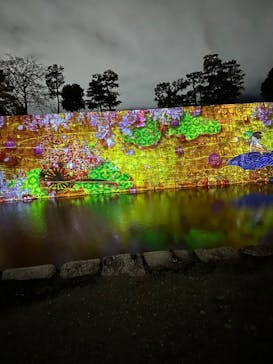 NAKED meets 二条城 2025 観月に投稿された画像（2025/3/28）