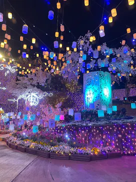 ひらかたパークに投稿された画像（2025/3/28）