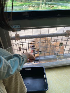 群馬サファリパークに投稿された画像（2025/3/28）