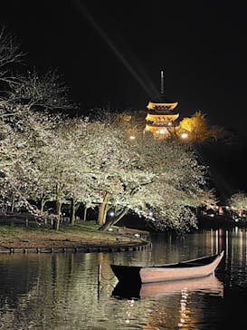 三溪園に投稿された画像（2025/3/28）