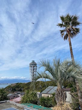 江の島1dayに投稿された画像（2025/3/28）