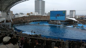 名古屋港水族館に投稿された画像（2025/3/28）