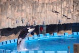 名古屋港水族館に投稿された画像（2025/3/29）