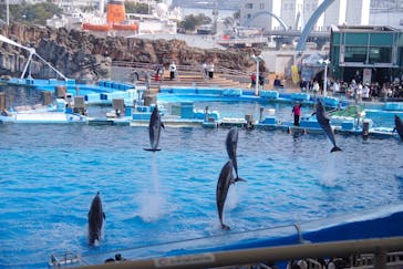 名古屋港水族館に投稿された画像（2025/3/28）