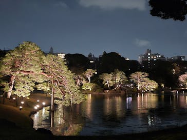 六義園に投稿された画像（2025/3/28）