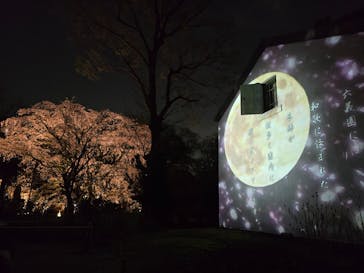 六義園に投稿された画像（2025/3/28）