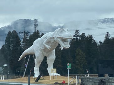 福井県立恐竜博物館に投稿された画像（2025/3/28）