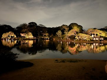 六義園に投稿された画像（2025/3/28）