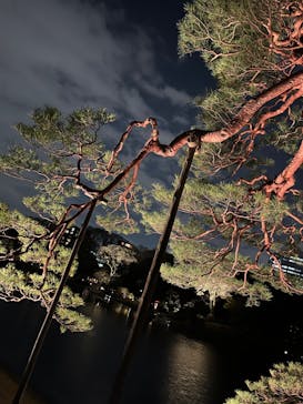 六義園に投稿された画像（2025/3/28）