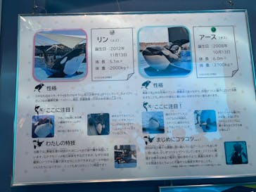 名古屋港水族館に投稿された画像（2025/3/28）