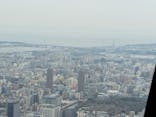 東京スカイツリーに投稿された画像（2025/3/29）