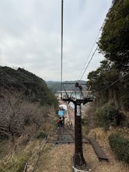 鳥羽湾めぐりとイルカ島に投稿された画像（2025/3/28）
