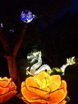 体験王国 むら咲むらに投稿された画像（2025/3/29）