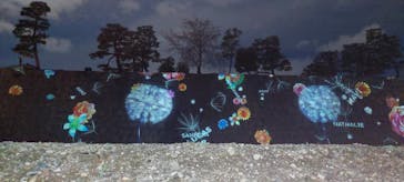 NAKED meets 二条城 2025 観月に投稿された画像（2025/3/29）