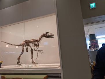 福井県立恐竜博物館に投稿された画像（2025/3/29）