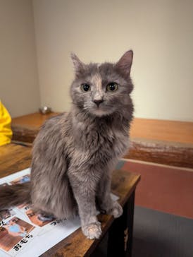 おさるランド＆アニタウン　日光さる軍団劇場に投稿された画像（2025/3/29）