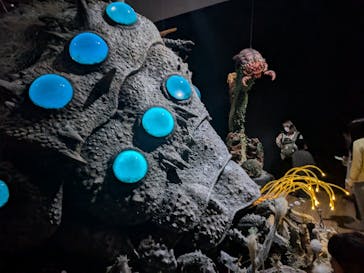 金曜ロードショーとジブリ展　三重展に投稿された画像（2025/3/29）