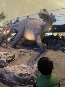 福井県立恐竜博物館に投稿された画像（2025/3/29）