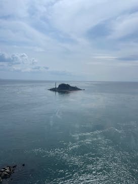 徳島県立 渦の道に投稿された画像（2025/3/29）