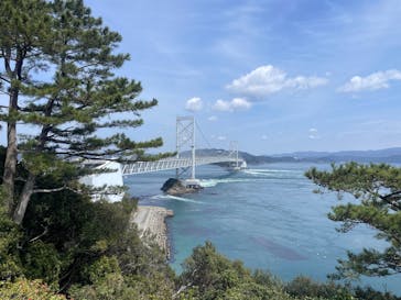 徳島県立 渦の道に投稿された画像（2025/3/29）