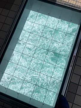 徳島県立 渦の道に投稿された画像（2025/3/29）