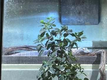 名古屋市東山動植物園に投稿された画像（2025/3/29）