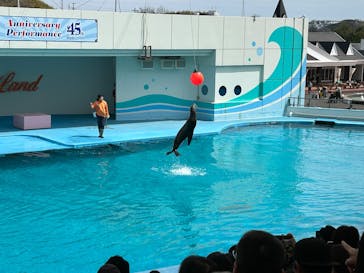 南知多ビーチランド＆南知多おもちゃ王国に投稿された画像（2025/3/29）