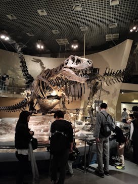 国立科学博物館に投稿された画像（2025/3/29）