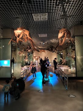 国立科学博物館に投稿された画像（2025/3/29）