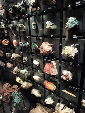 国立科学博物館に投稿された画像（2025/3/29）