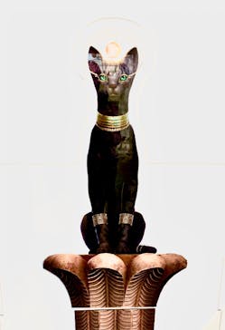 IMMERSIVE JOURNEYに投稿された画像（2025/3/27）