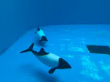 仙台うみの杜水族館に投稿された画像（2025/3/29）