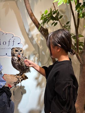 Moff animal cafe イオンモール新利府店に投稿された画像（2025/3/29）