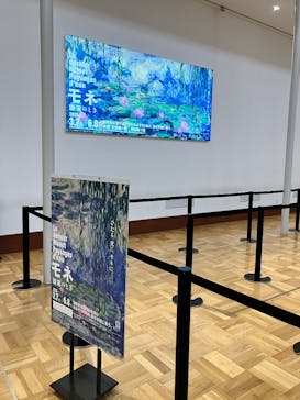 モネ　睡蓮のときに投稿された画像（2025/3/29）