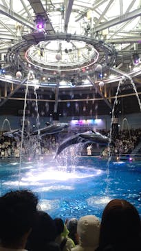 マクセル アクアパーク品川に投稿された画像（2025/3/29）