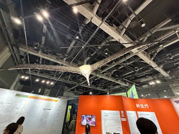 特別展「鳥～ゲノム解析が解き明かす新しい鳥類の系統～」に投稿された画像（2025/3/29）