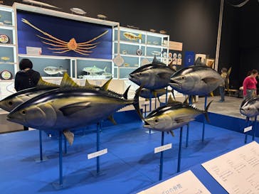 特別展「和食～日本の自然、人々の知恵～」に投稿された画像（2025/3/29）