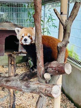 熱川バナナワニ園に投稿された画像（2025/3/29）