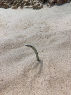 アクアワールド茨城県大洗水族館に投稿された画像（2025/3/29）