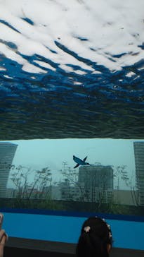 サンシャイン水族館に投稿された画像（2025/3/29）