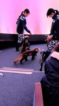 横浜・八景島シーパラダイスに投稿された画像（2025/3/29）