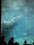 葛西臨海水族園に投稿された画像（2025/3/29）