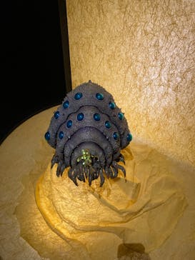 金曜ロードショーとジブリ展　三重展に投稿された画像（2025/3/29）