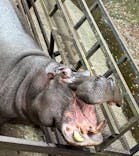 長崎バイオパークに投稿された画像（2025/3/29）