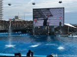 名古屋港水族館に投稿された画像（2025/3/29）