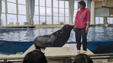 アクアワールド茨城県大洗水族館に投稿された画像（2025/3/29）
