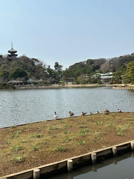 三溪園に投稿された画像（2025/3/29）